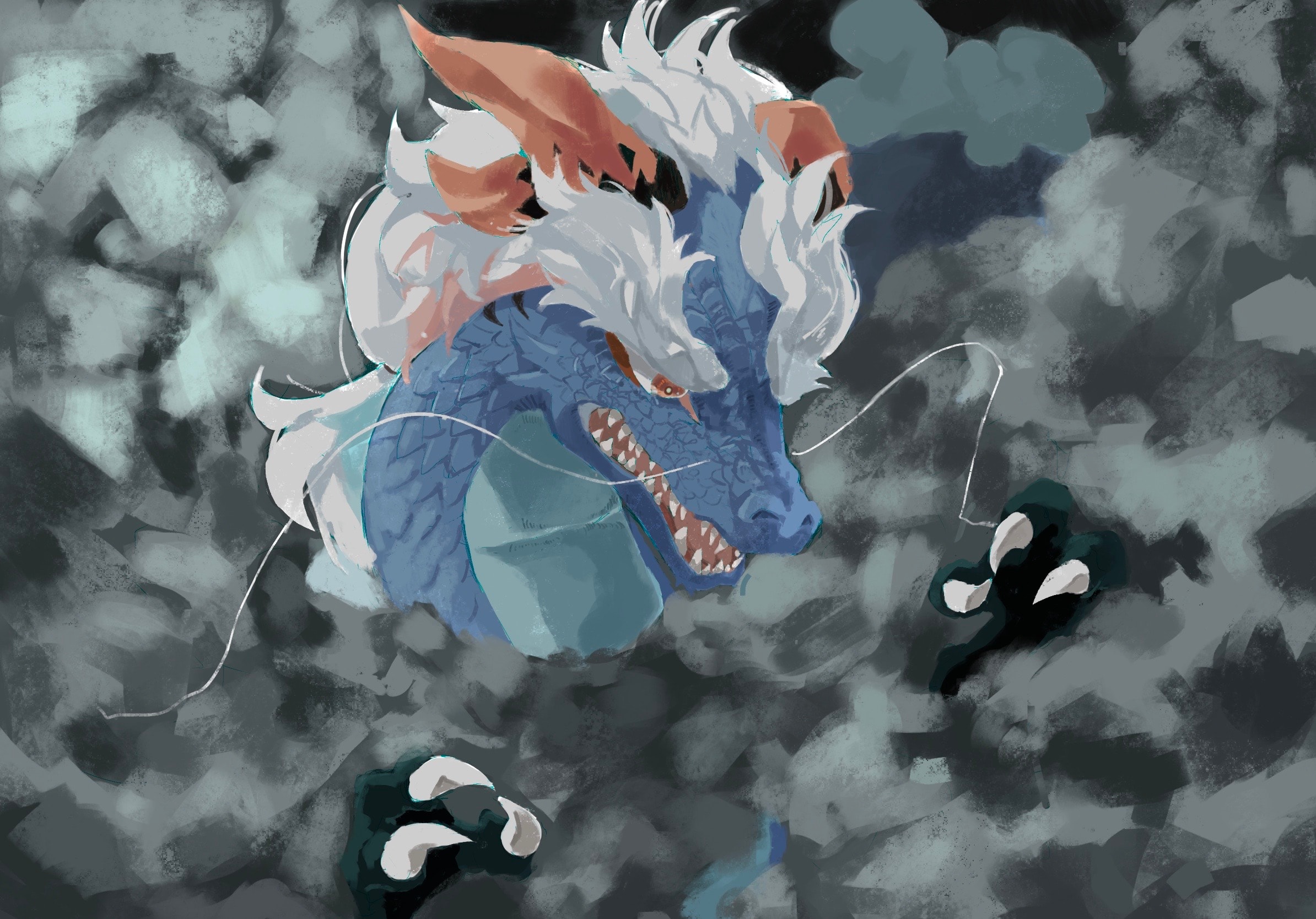 雨龍